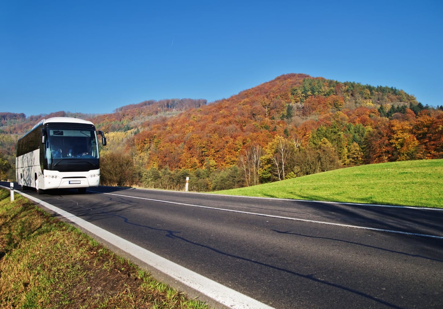 Visite touristique en bus